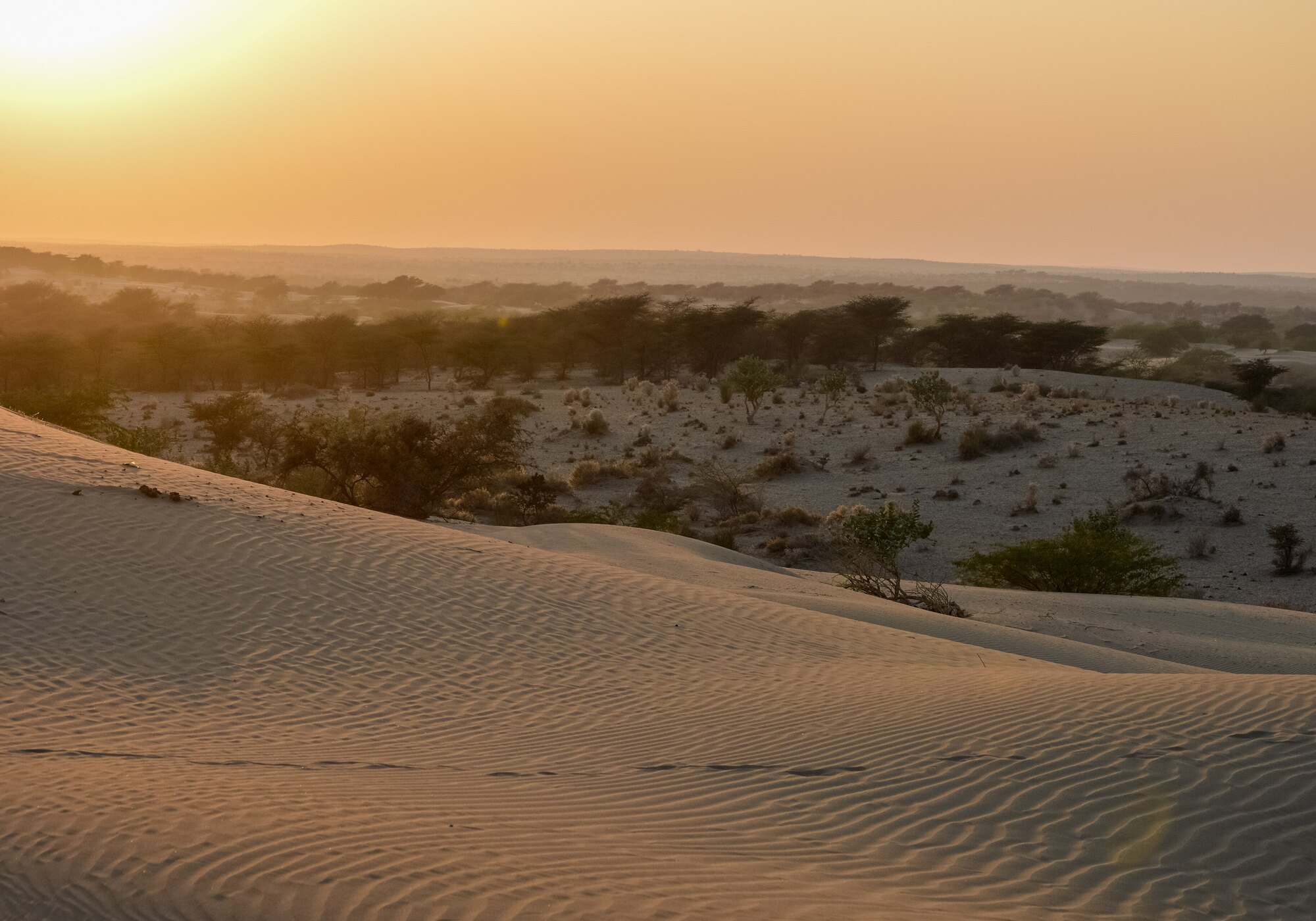 Jaisalmer dunes         