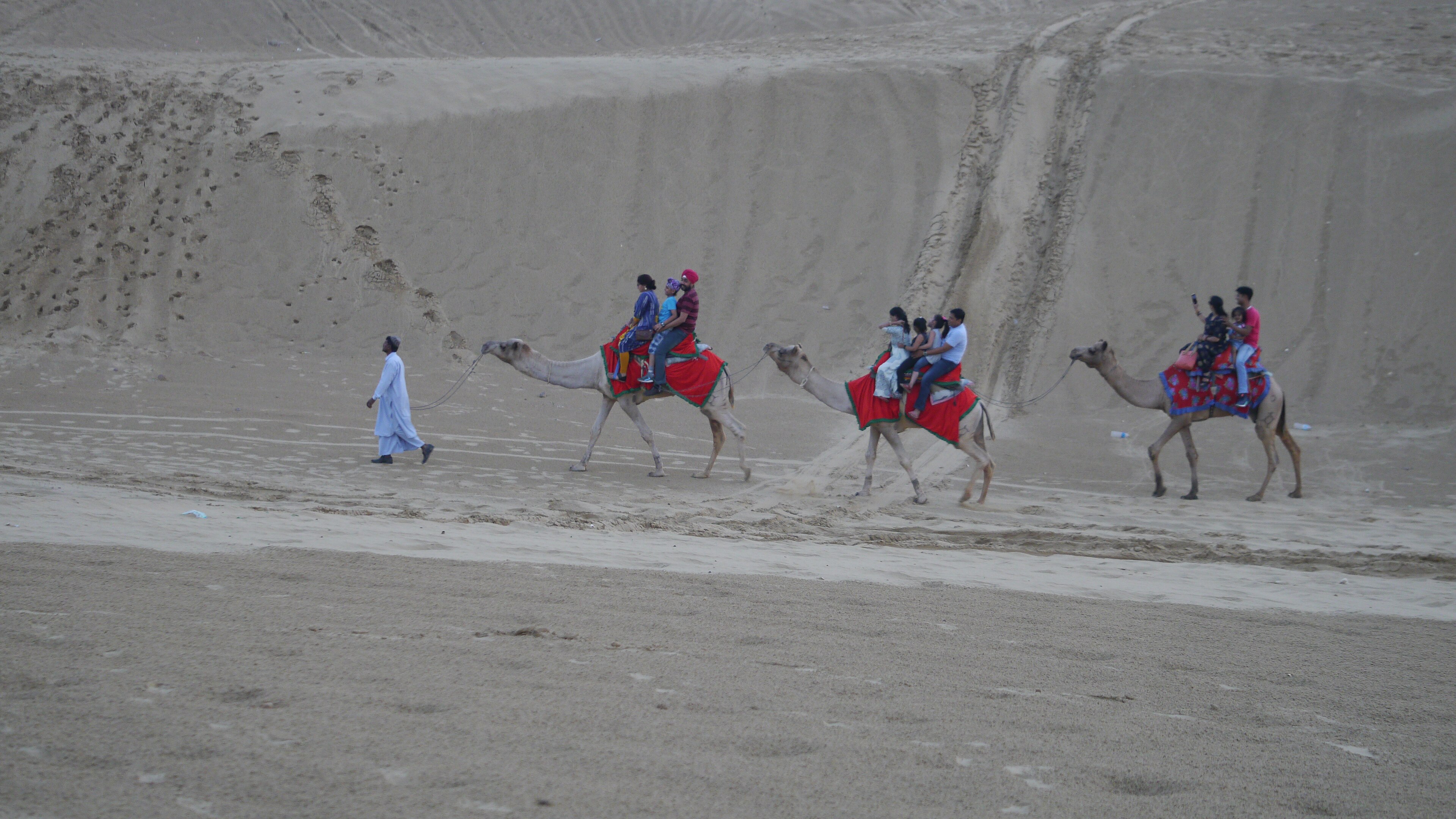Golden Dunes & Camel Caravan