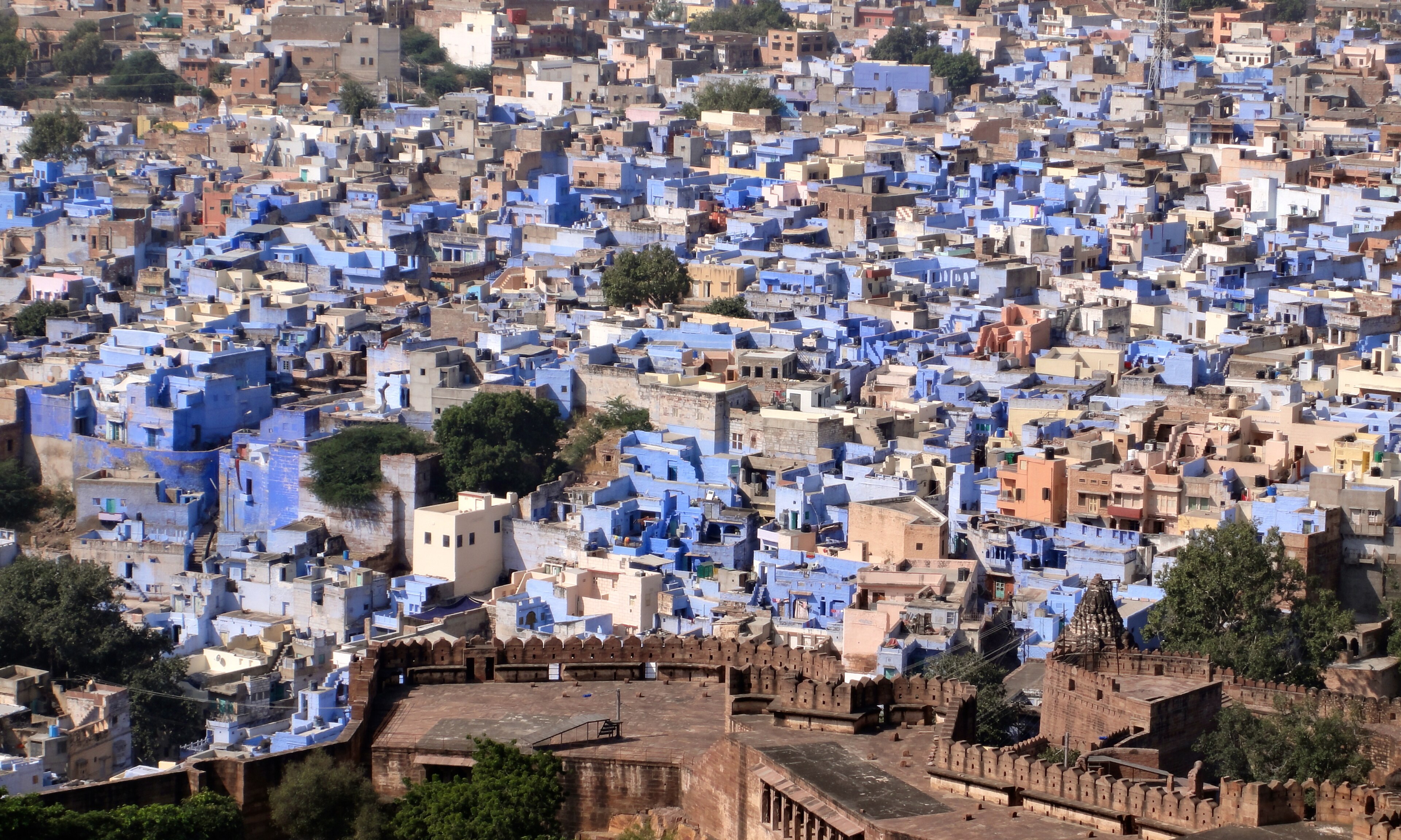 Blue City houses below Mehrangarh