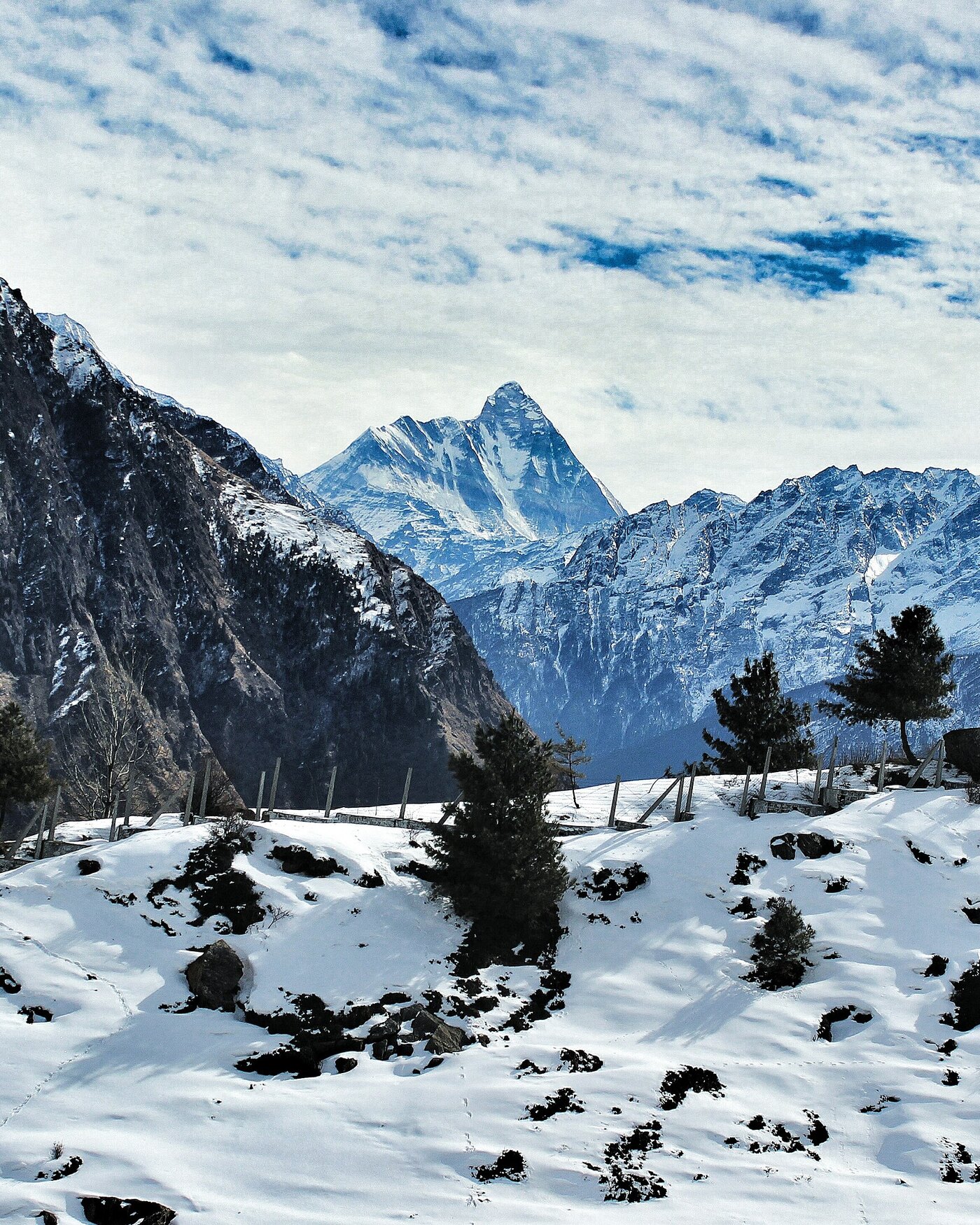 Auli - Gorson