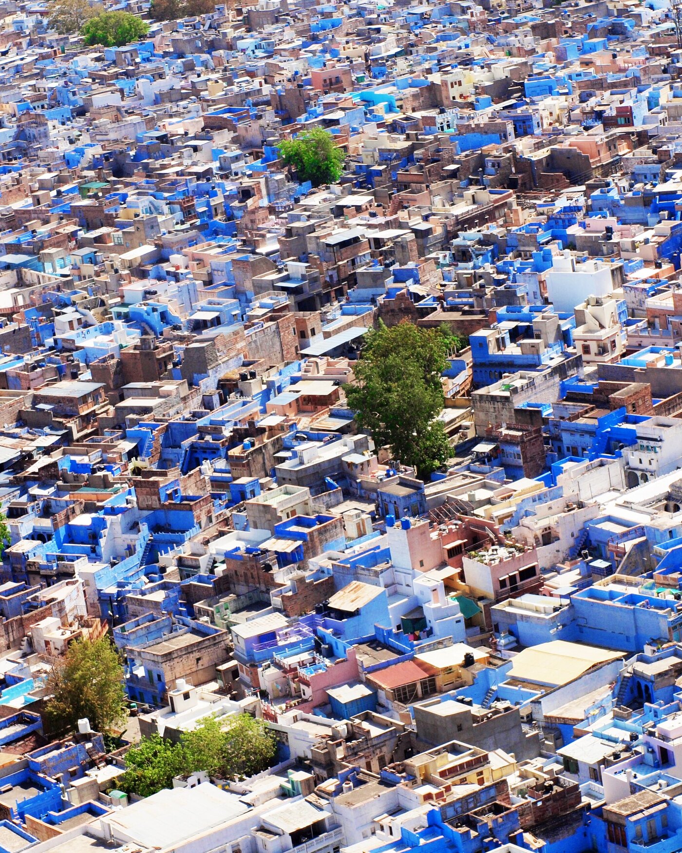 Blue City in Jodhpur  