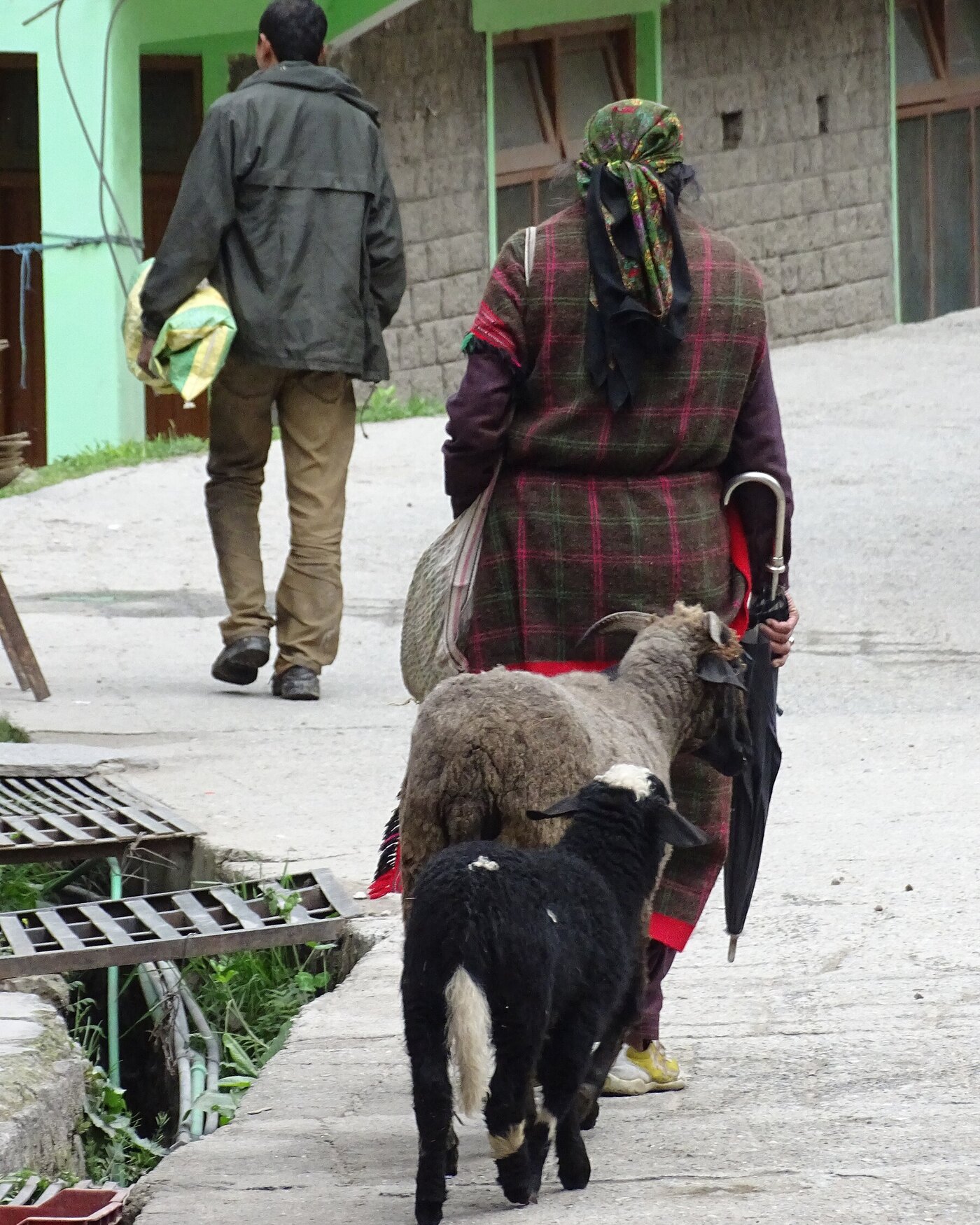 Old Manali in Manali 