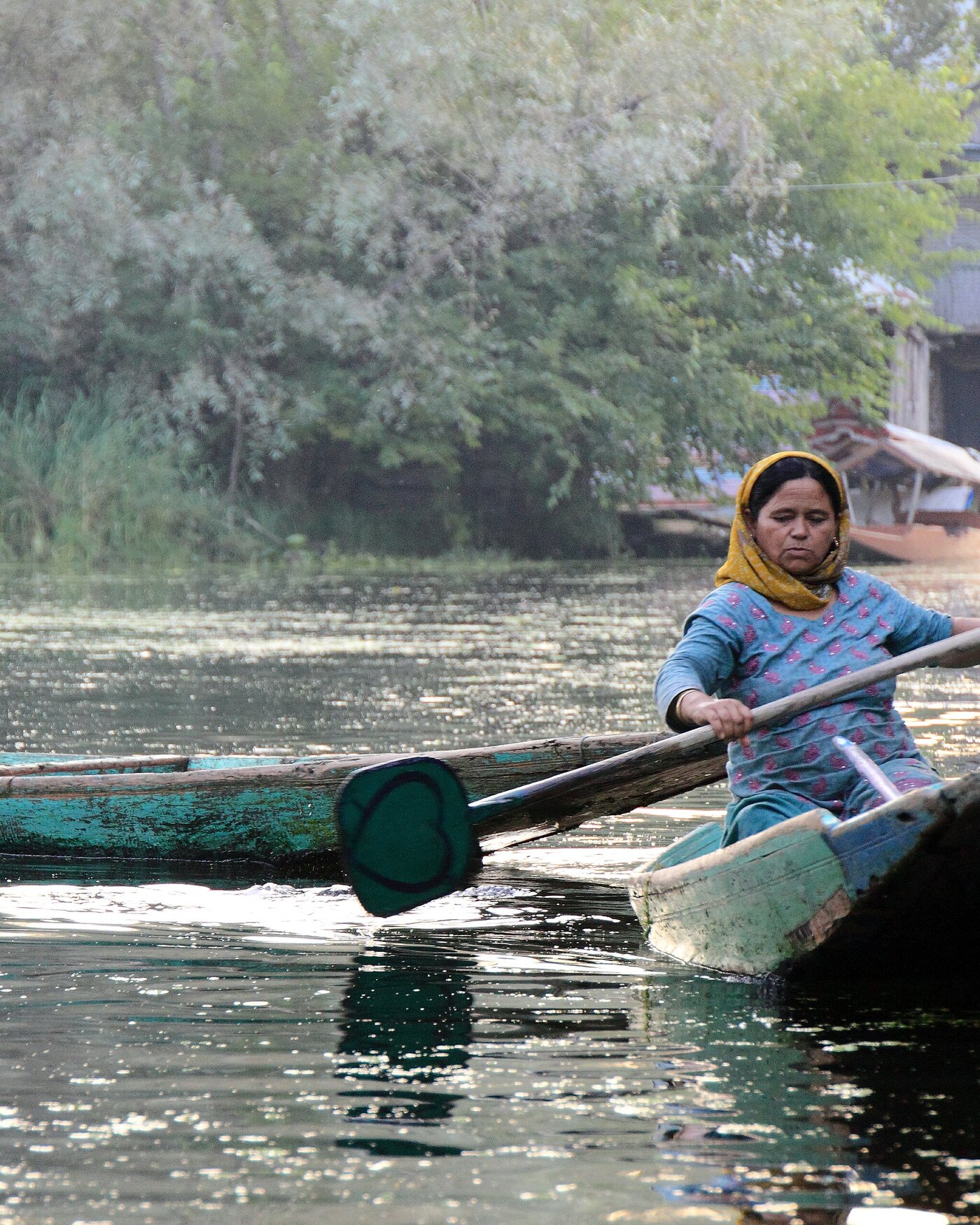 Srinagar - Dal Lake