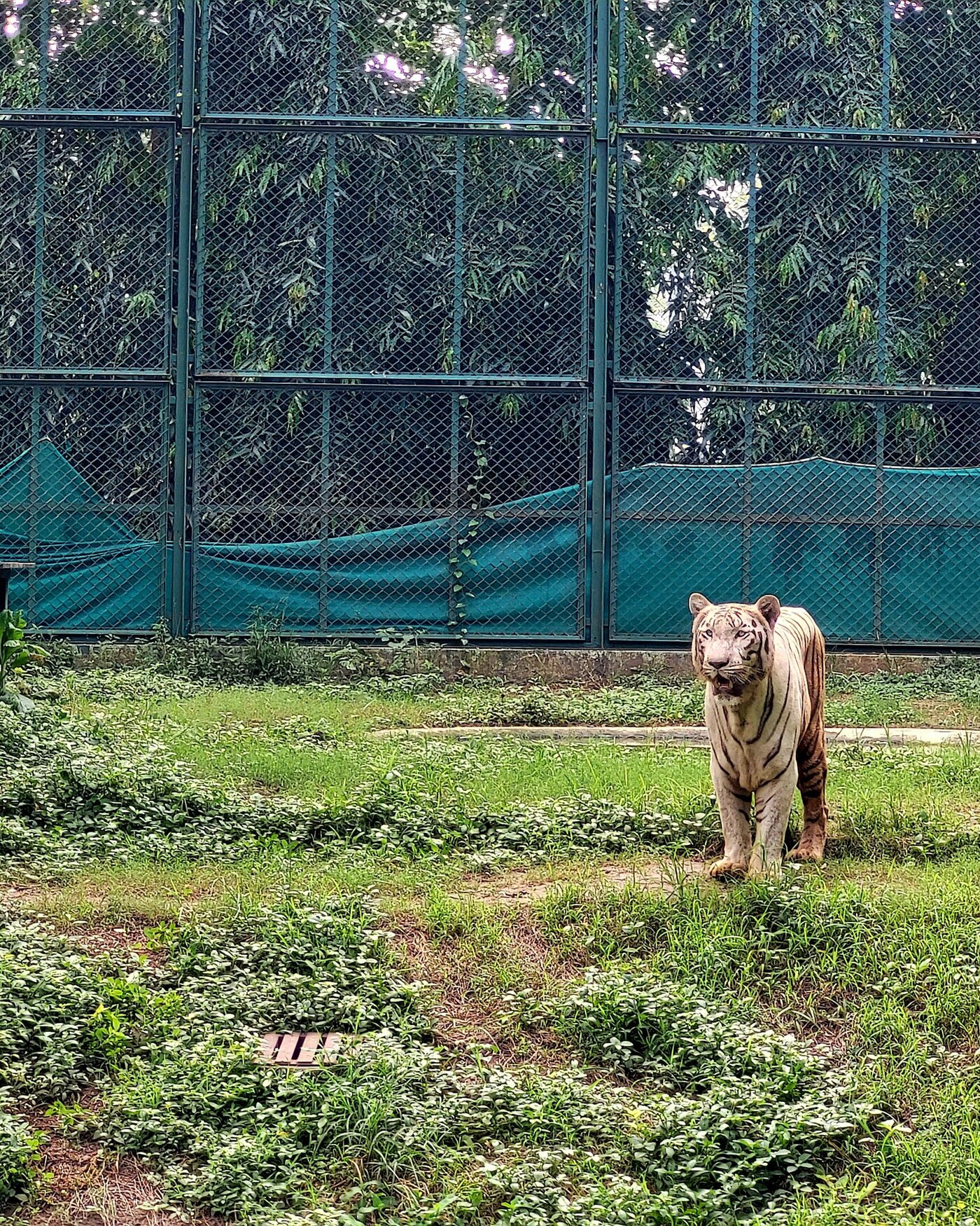Sarthana Park in Surat      