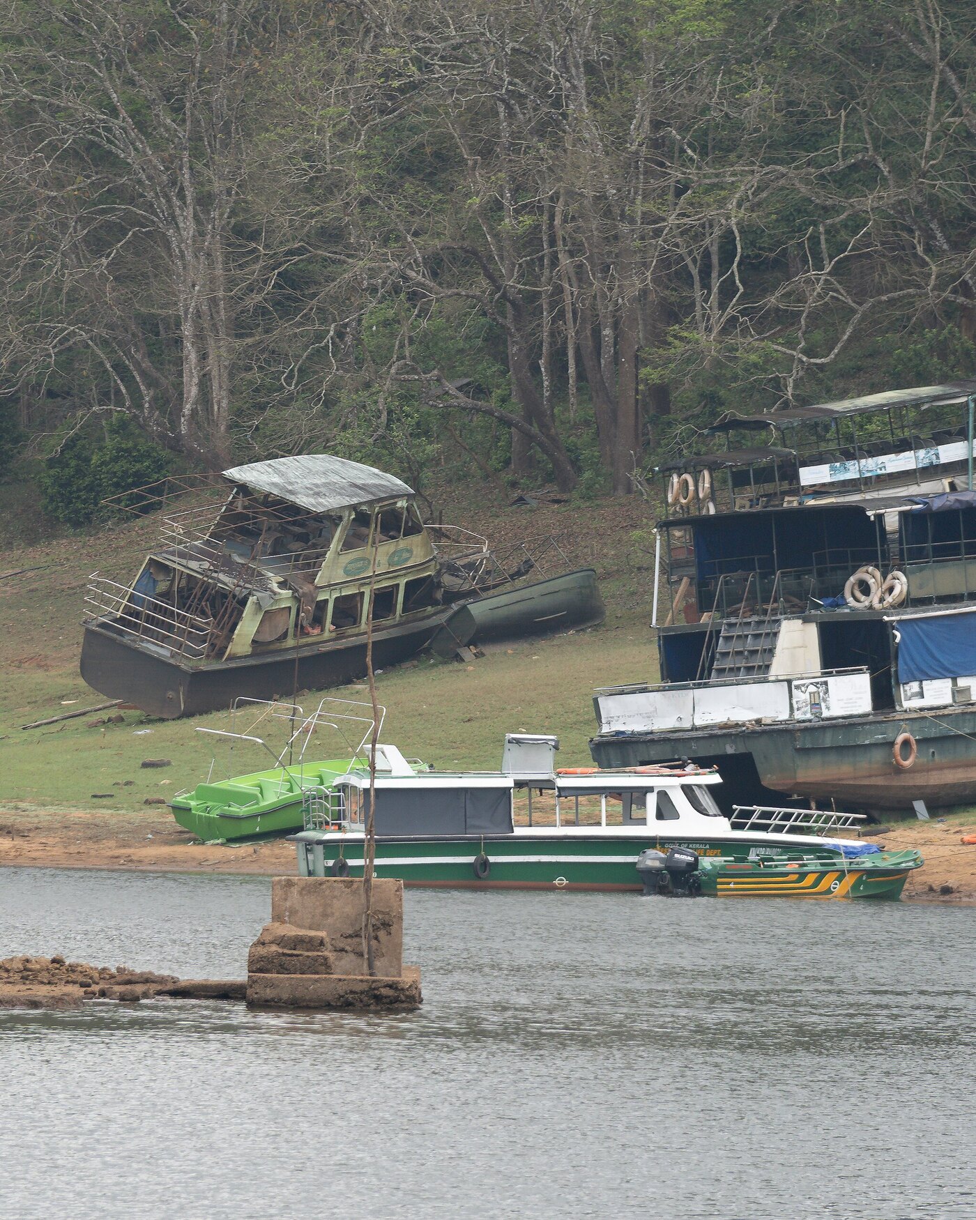 Periyar Lake in Thekkady