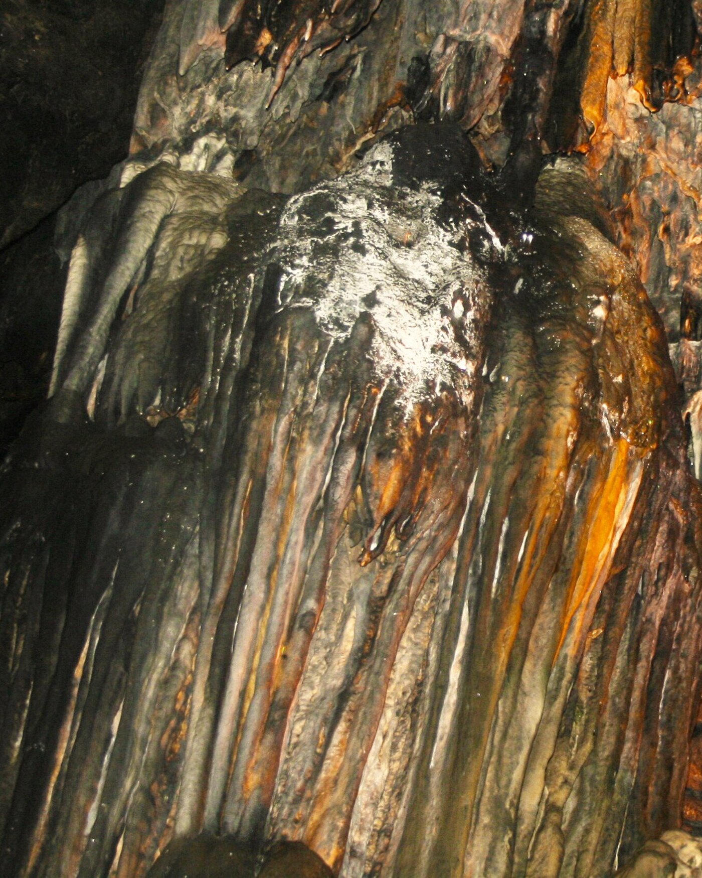 Borra Caves in Visakhapatnam    