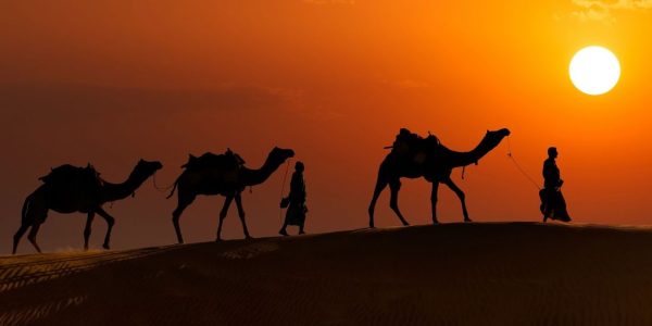 Camel-Safari-best-travel-agency-for-Pushkar-India-trip-with-car-and-driver