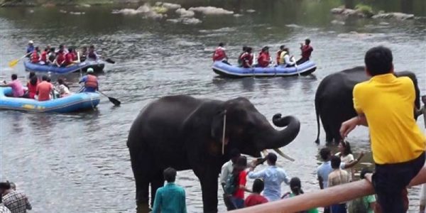 Dubare-Elephant-Camp-best-travel-agency-for-Coorg-India-trip-with-car-and-driver