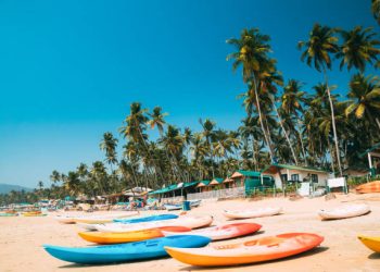 Canacona, Goa, India. Canoe Kayak For Rent Parked On Famous Palolem Beach On Background Tall Palm Tree In Summer Sunny Day.