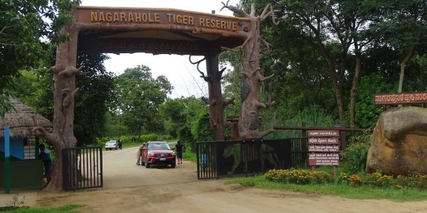 Nagarhole-National-Park-best-travel-agency-for-Coorg-India-trip-with-car-and-driver