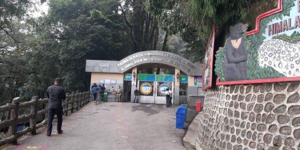 Padmaja-Naidu-Himalayan-Zoological-Park-best-travel-agency-for-Darjeeling-India-trip-with-car-and-driver