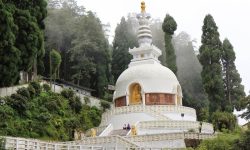 Peace-Pagoda-best-travel-agency-for-Darjeeling-India-trip-with-car-and-driver