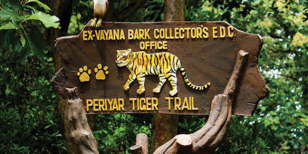 Periyar-Wildlife-Sanctuary-best-travel-agency-for-Thekkady-India-trip-with-car-and-driver